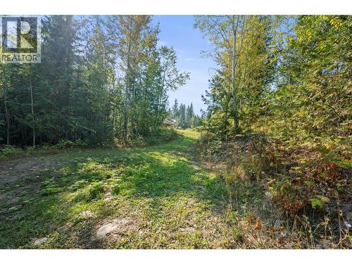 2510 Samuelson Road, Sicamous, BC - Outdoor