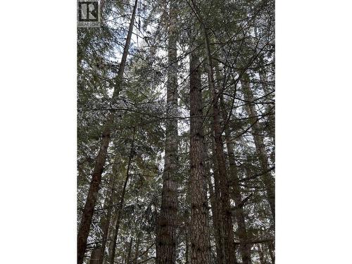 Dl 7054 W 16 Highway, Mcbride, BC 