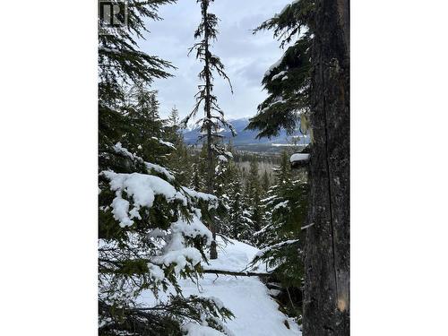 Dl 7054 W 16 Highway, Mcbride, BC 