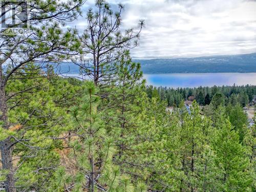 View toward North East - 10751 Westshore Road, Vernon, BC 