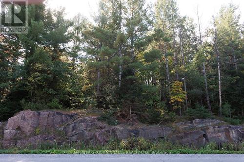 Part 3 - 0 Monck Road, Kawartha Lakes (Laxton/Digby/Longford), ON 