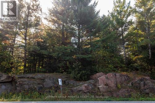 Part 2 - 0 Monck Road, Kawartha Lakes (Laxton/Digby/Longford), ON 