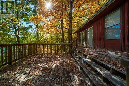 1042 East Flieler Lane, Frontenac (Frontenac North), ON - Outdoor