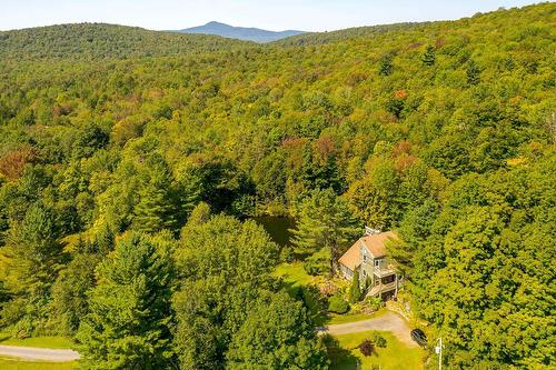 Photo aérienne - 246 Ch. Lowry, Sutton, QC - Outdoor With View