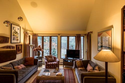 Living room - 246 Ch. Lowry, Sutton, QC - Indoor Photo Showing Living Room