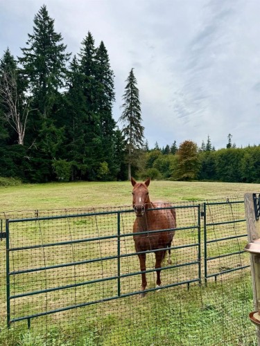 5-48 Mcphedran Rd South, Campbell River, BC 