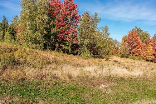 Terre/Terrain - Rue Étienne-Desmarteau, Sherbrooke (Brompton/Rock Forest/Saint-Élie/Deauville), QC 