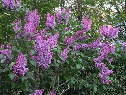 11 Glenbourne Court, Halifax, NS 