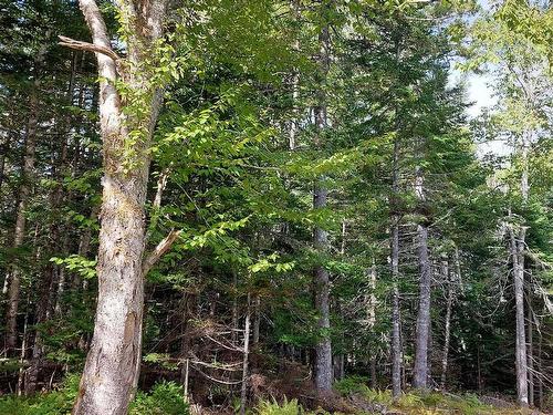 Lot 14 Golden Shore Dr, Marshes (West Bay), NS 