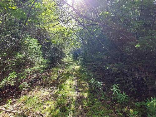 Lot 14 Golden Shore Dr, Marshes (West Bay), NS 