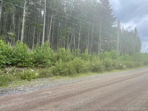 000 Maxwell Rd, Bonny River, NB 
