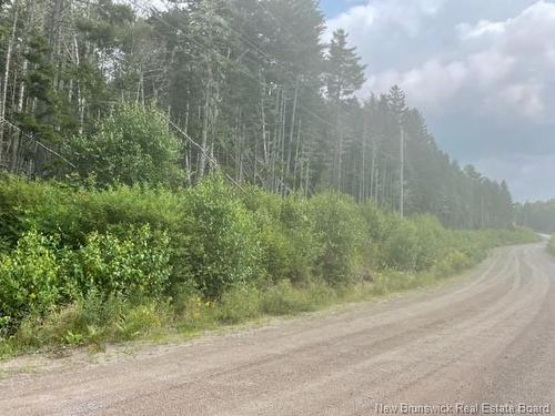 000 Maxwell Rd, Bonny River, NB 