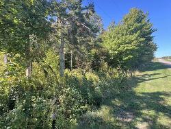 Lot 1479 North Royalty Road  Cardigan, PE C0A 1L0