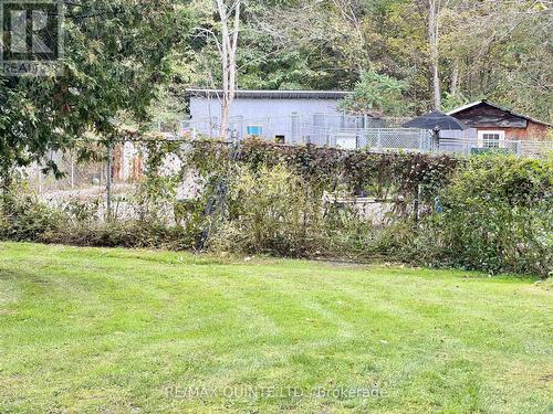 109006 Hwy 7 Highway, Tweed (Elzevir (Twp)), ON - Outdoor