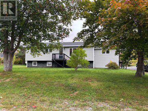 56 Birchcliff Drive, Salmon Cove, NL - Outdoor