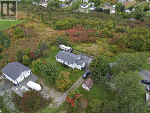 56 Birchcliff Drive, Salmon Cove, NL - Outdoor With View