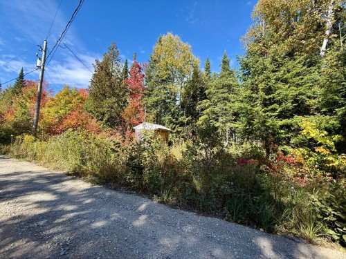 Terre/Terrain - Ch. Du Domaine-Évangeline, Saint-Fabien-De-Panet, QC 
