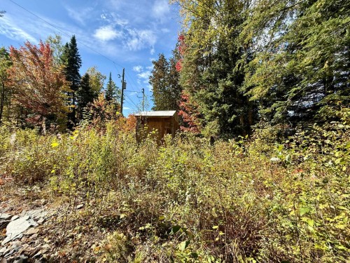 Terre/Terrain - Ch. Du Domaine-Évangeline, Saint-Fabien-De-Panet, QC 
