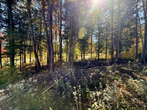 Terre/Terrain - Ch. Du Domaine-Évangeline, Saint-Fabien-De-Panet, QC 