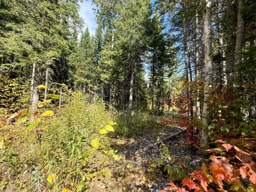 Terre/Terrain - Ch. Du Domaine-Évangeline, Saint-Fabien-De-Panet, QC 