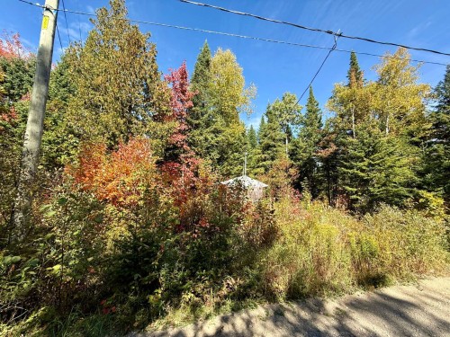 Terre/Terrain - Ch. Du Domaine-Évangeline, Saint-Fabien-De-Panet, QC 