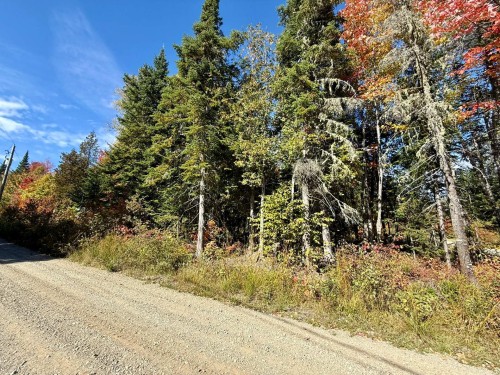 Terre/Terrain - Ch. Du Domaine-Évangeline, Saint-Fabien-De-Panet, QC 