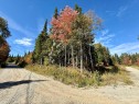 Terre/Terrain - Ch. Du Domaine-Évangeline, Saint-Fabien-De-Panet, QC 