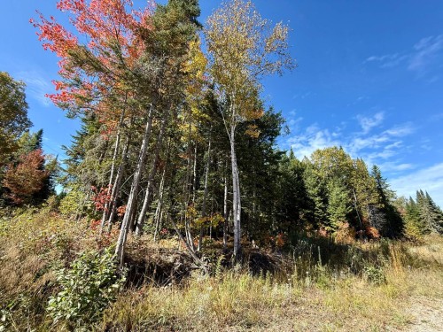 Terre/Terrain - Ch. Du Domaine-Évangeline, Saint-Fabien-De-Panet, QC 