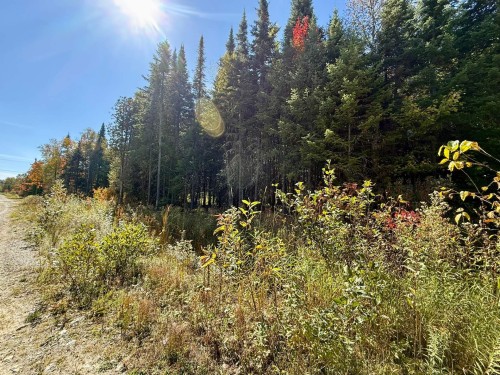 Terre/Terrain - Ch. Du Domaine-Évangeline, Saint-Fabien-De-Panet, QC 