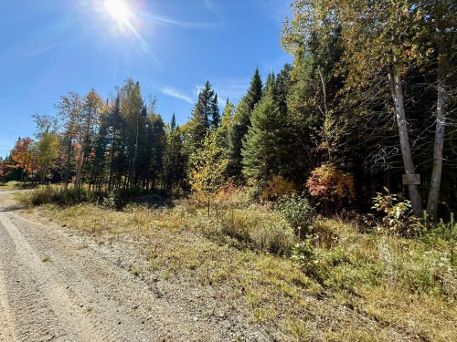 Terre/Terrain - Ch. Du Domaine-Évangeline, Saint-Fabien-De-Panet, QC 