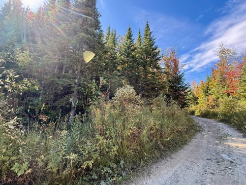 Terre/Terrain - Ch. Du Domaine-Évangeline, Saint-Fabien-De-Panet, QC 