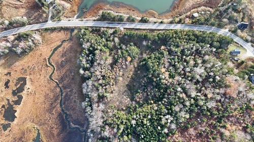 308 Highway, Morris Island, NS 