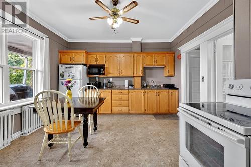 120 Circular Road, St. John'S, NL - Indoor Photo Showing Kitchen