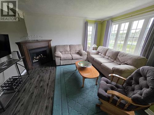 103 Main Road, St. Mary'S, NL - Indoor Photo Showing Living Room With Fireplace