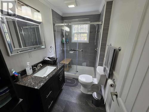 103 Main Road, St. Mary'S, NL - Indoor Photo Showing Bathroom