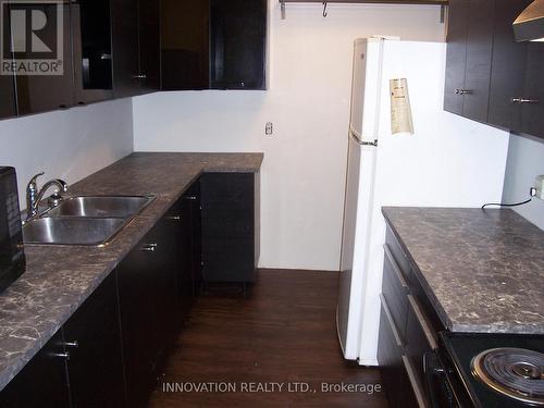 1406 - 2020 Jasmine Crescent, Ottawa, ON - Indoor Photo Showing Kitchen With Double Sink
