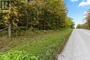Pt W Half Lot 3 Concession 4A Concession, Grey Highlands, ON 