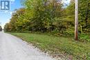 Pt W Half Lot 3 Concession 4A Concession, Grey Highlands, ON 