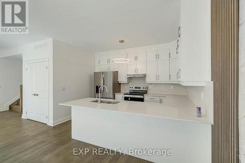 3400 Carter Common, Burlington, ON - Indoor Photo Showing Kitchen With Stainless Steel Kitchen With Double Sink
