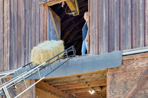 2660 Holden Corso Rd, Nanaimo, BC 