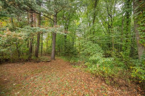Wooded area - 246 48E Rue O., Venise-En-Québec, QC - Outdoor