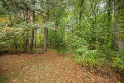 Wooded area - 