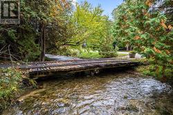 Bell Creek runs through the property - 