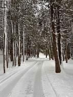 Laneway in the winter - 
