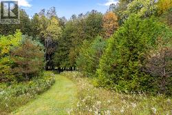 Picturesque pathways make the most of the land - 