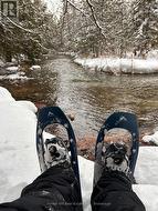 Snowshoe or x-country ski on your own property - 