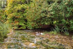 Bell Creek runs year-round - 