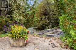 Bell Creek runs through the property - 