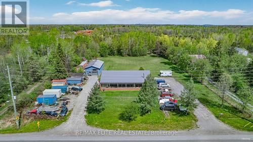 5622 Ravenshoe Road, Georgina, ON 