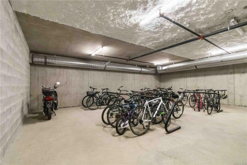 309-3815 Rowland Ave, Saanich, BC - Indoor Photo Showing Garage